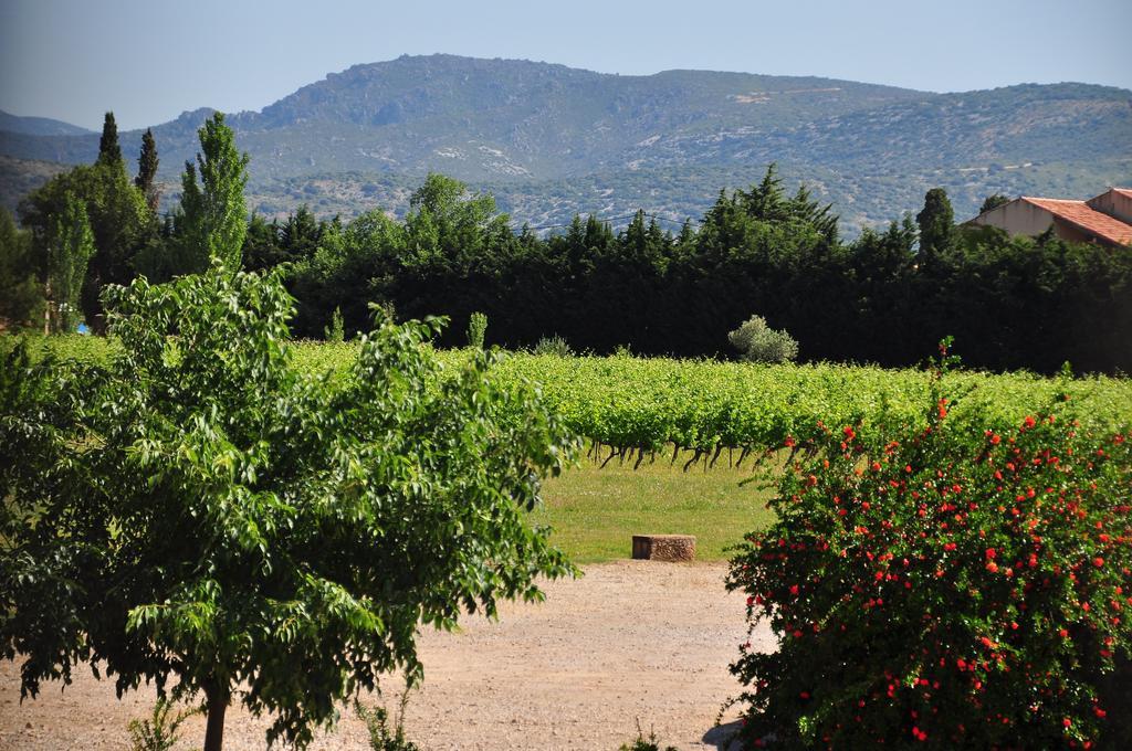 Chateau De Jonquieres - Herault Jonquieres (Herault)